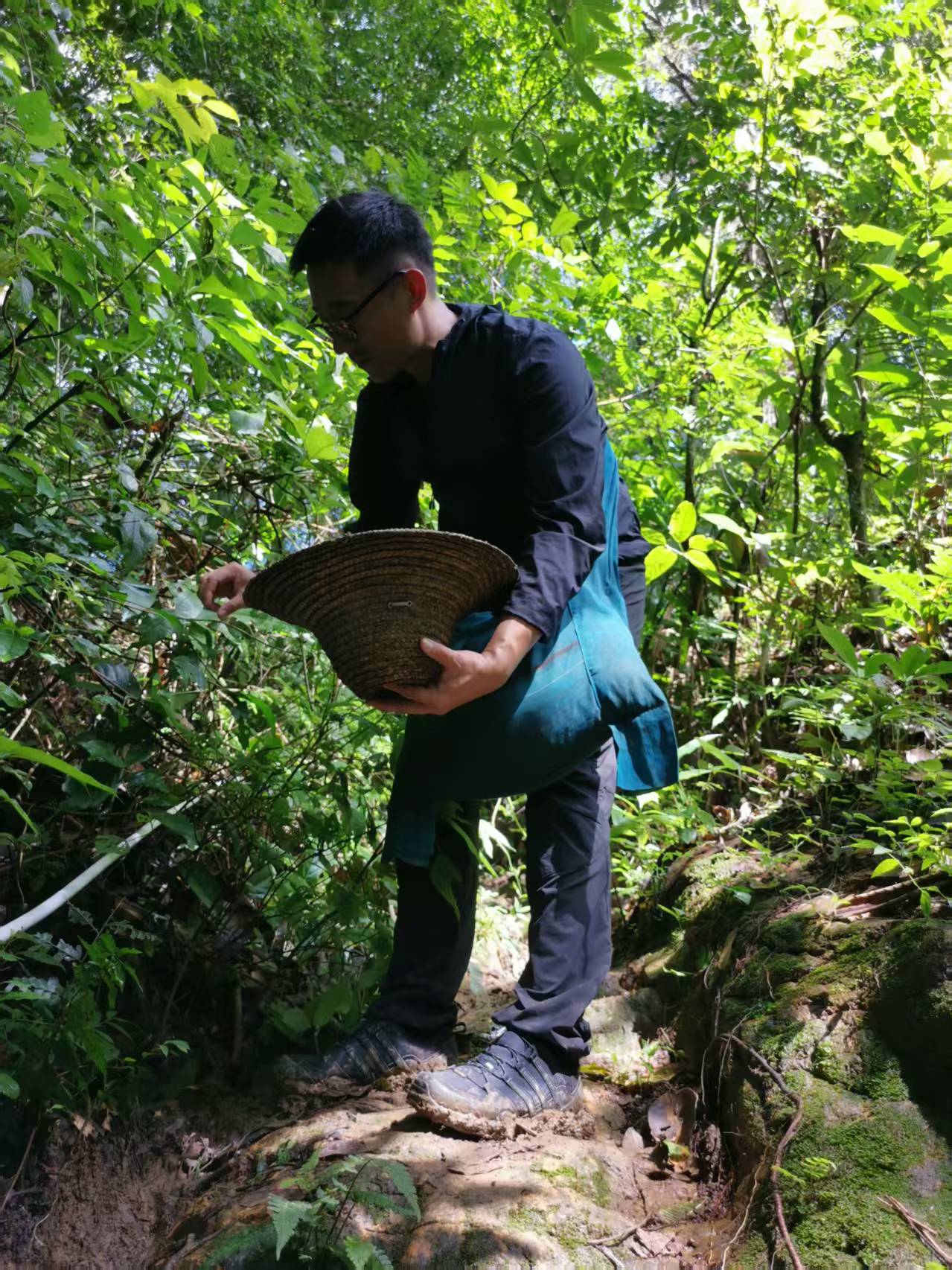 Founder Zhuoyu Li participating in the spring tea harvest