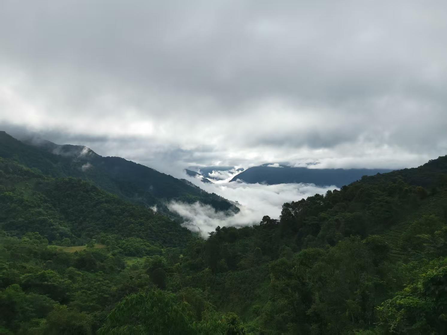 Clouds drifting through the tea mountains of Yunnan